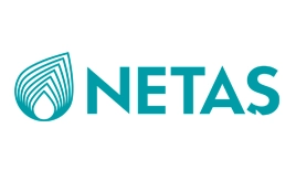 Netaş